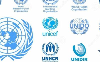 Tirocini per studenti universitari e neolaureati presso le structure delle Nazioni Unite